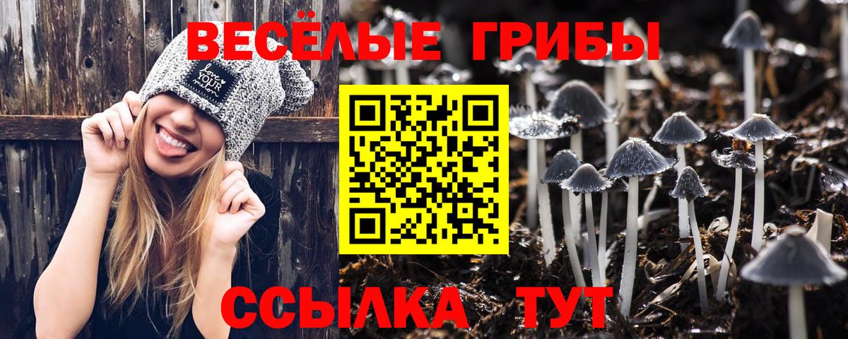Псилоцибиновые грибы ЛСД  Вход с VPN  Нижневартовск  Галлюциногенные грибы Magic Shrooms 